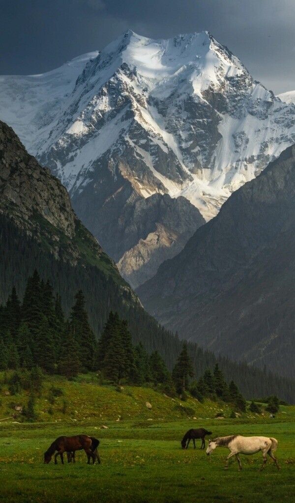 Камчатка